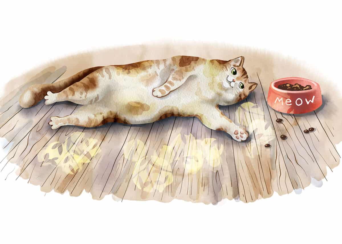 Aquarelle d'un chat