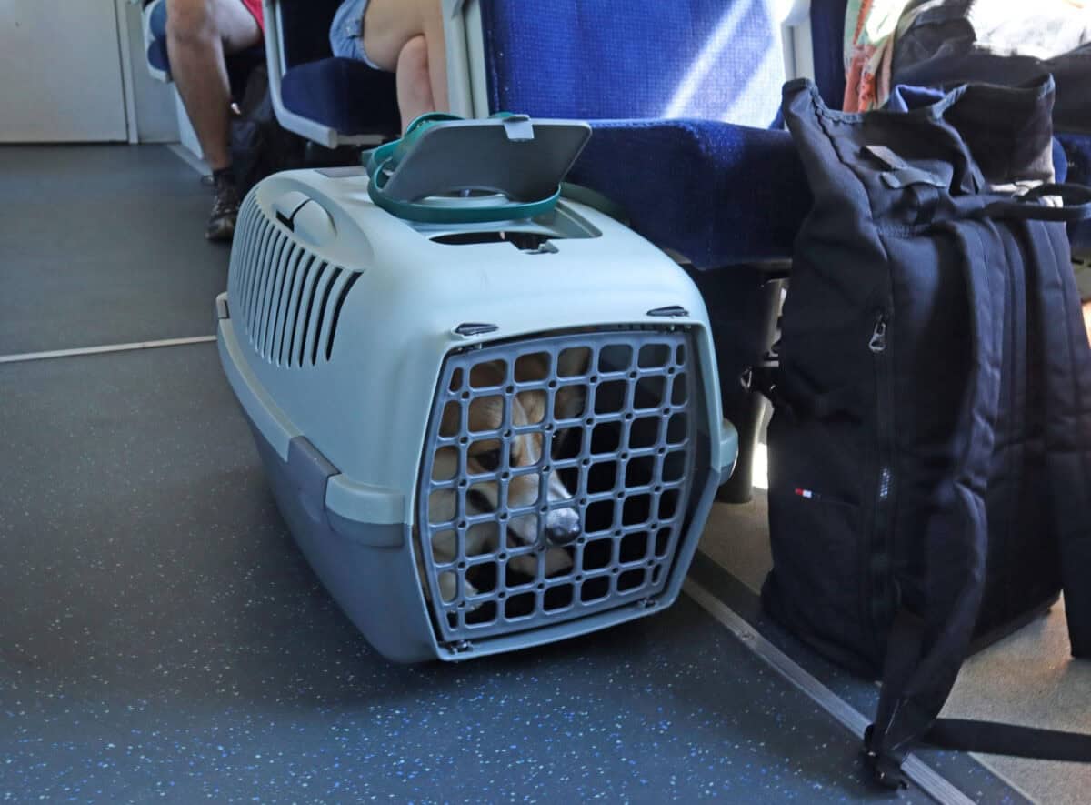 Caisse pour transport d'animaux
