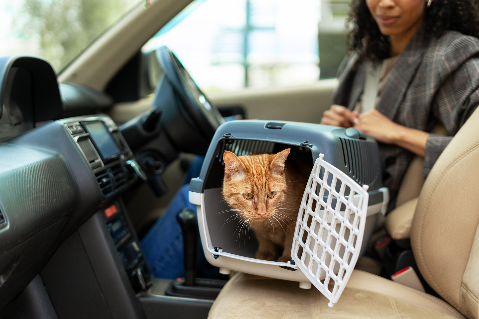 Chat roux voyageant en voiture dans une cage de transport à côté d'une femme d'affaires