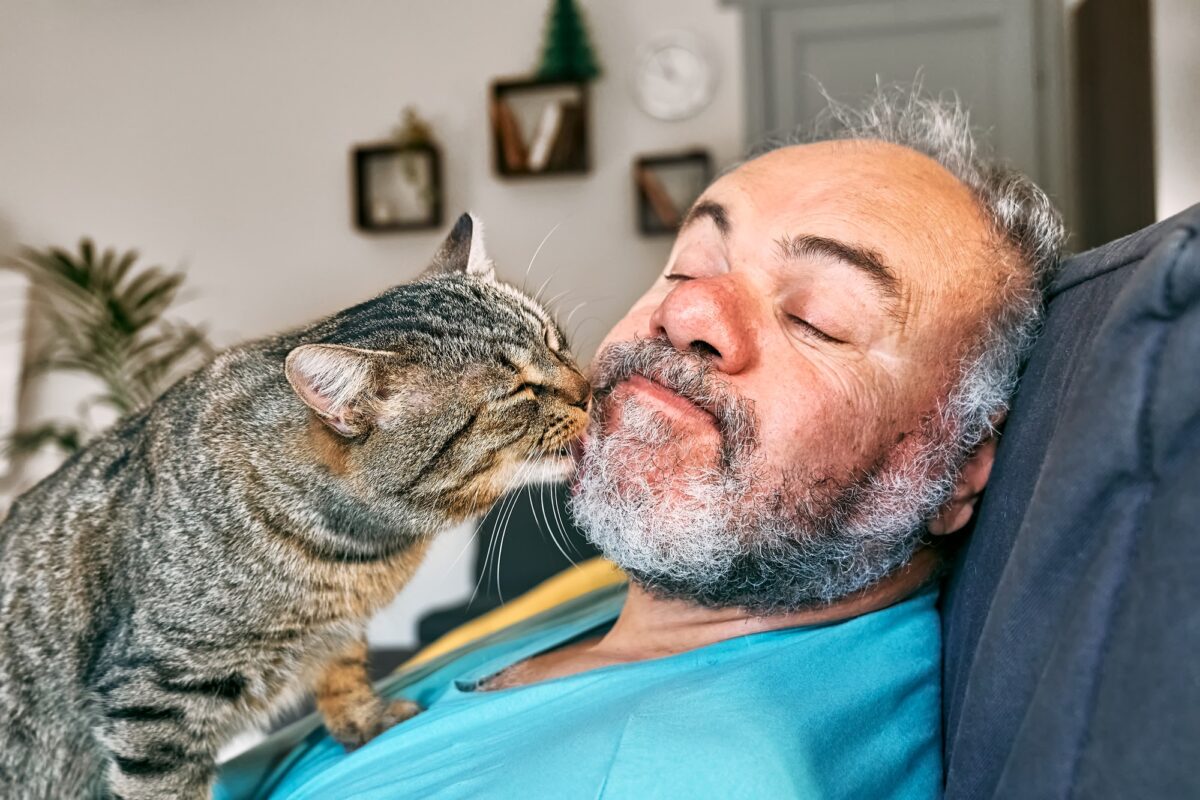 Chat tabby léchant le visage d'un homme barbu dans le salon.