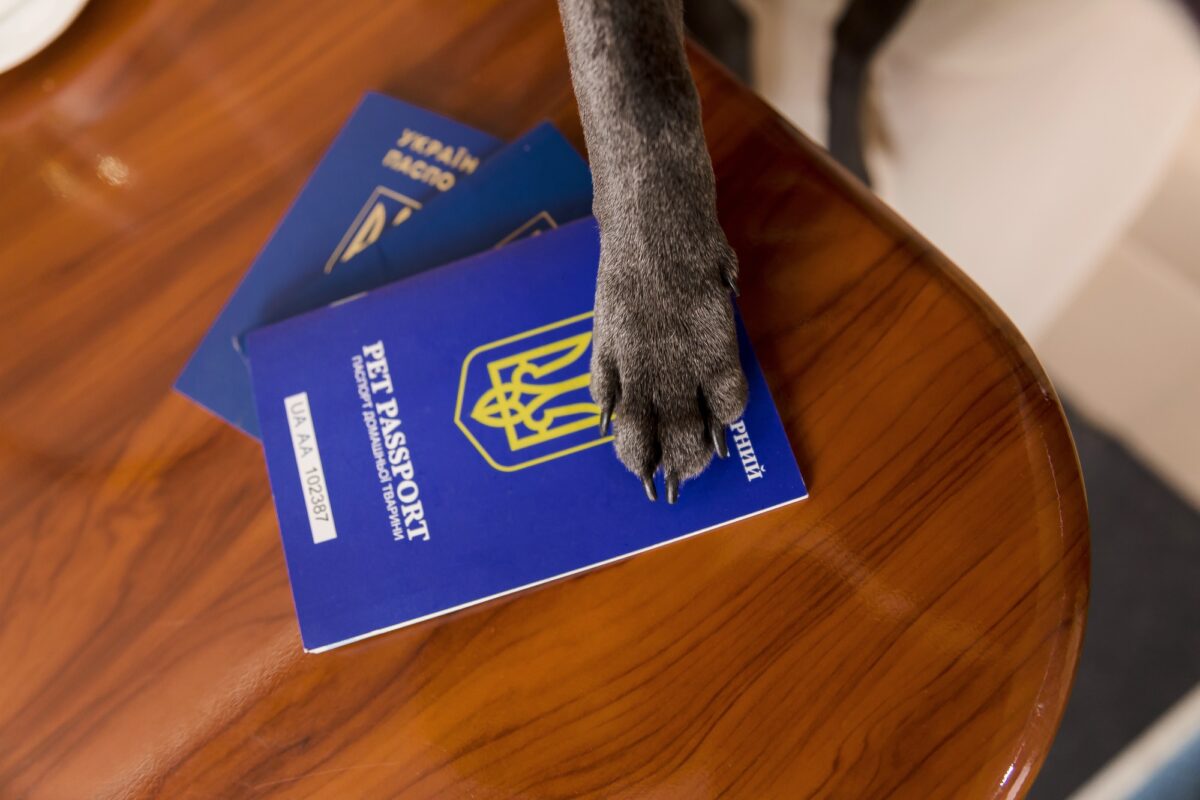 Passeport pour chien