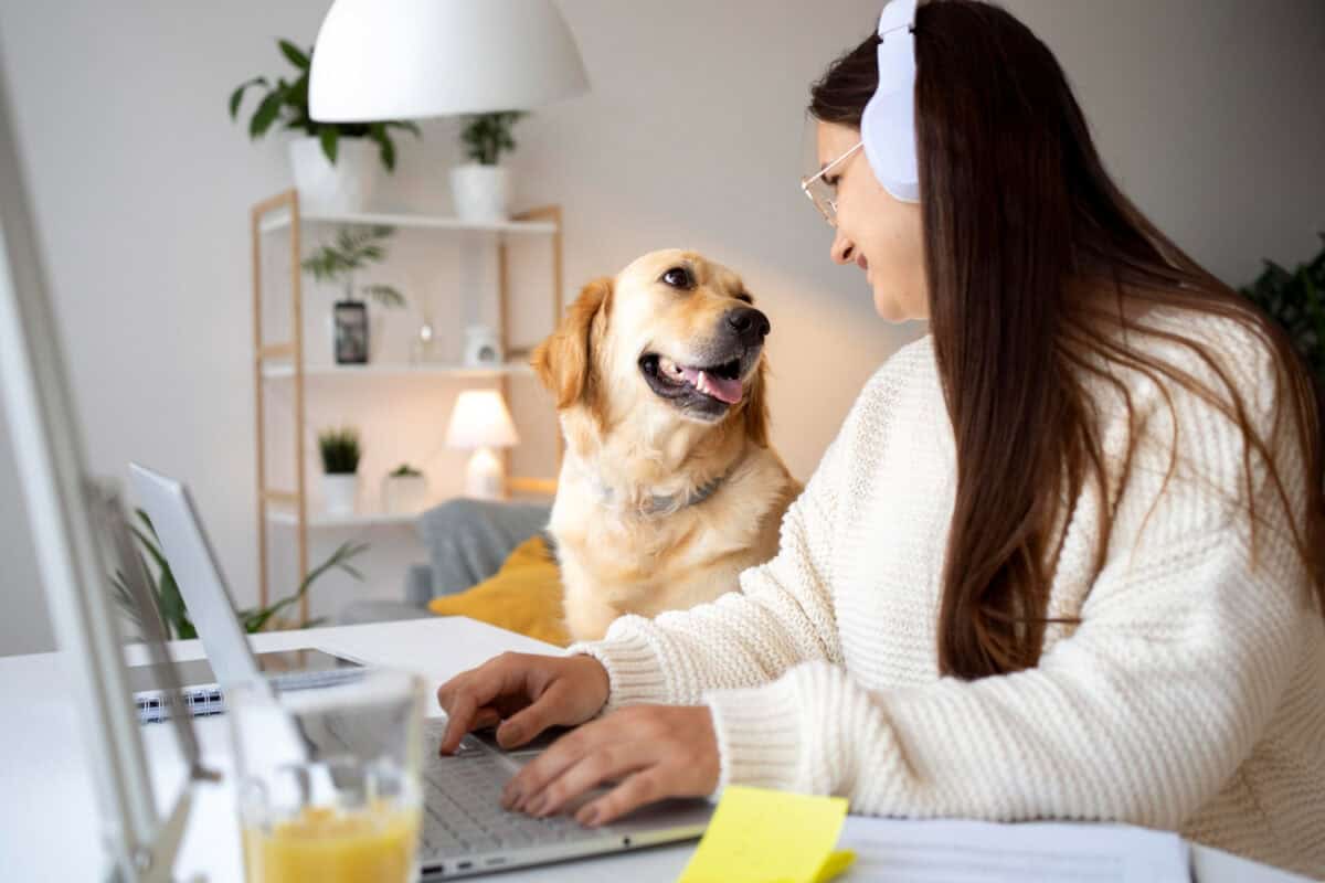 Chien au bureau avec son maître
