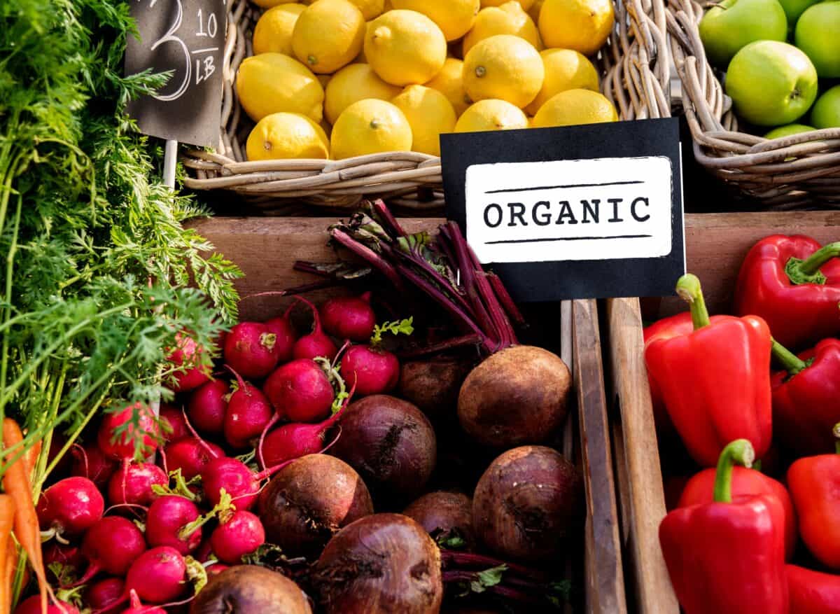 Concept de produit frais, naturel et biologique