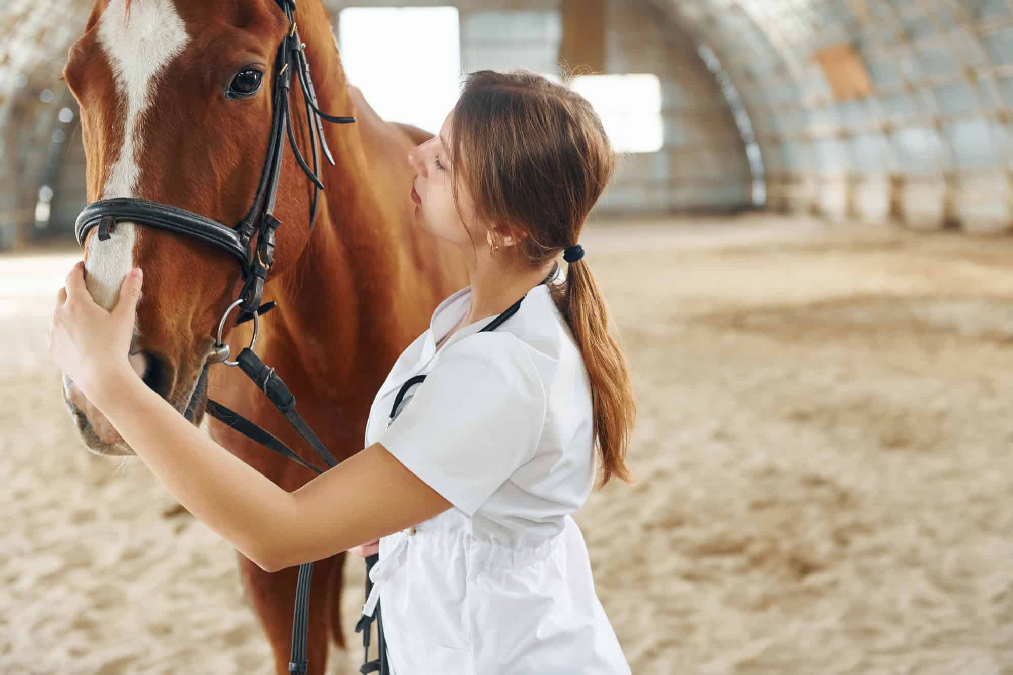 Conception du vétérinaire. Femme médecin en blouse blanche avec un cheval dans une écurie.