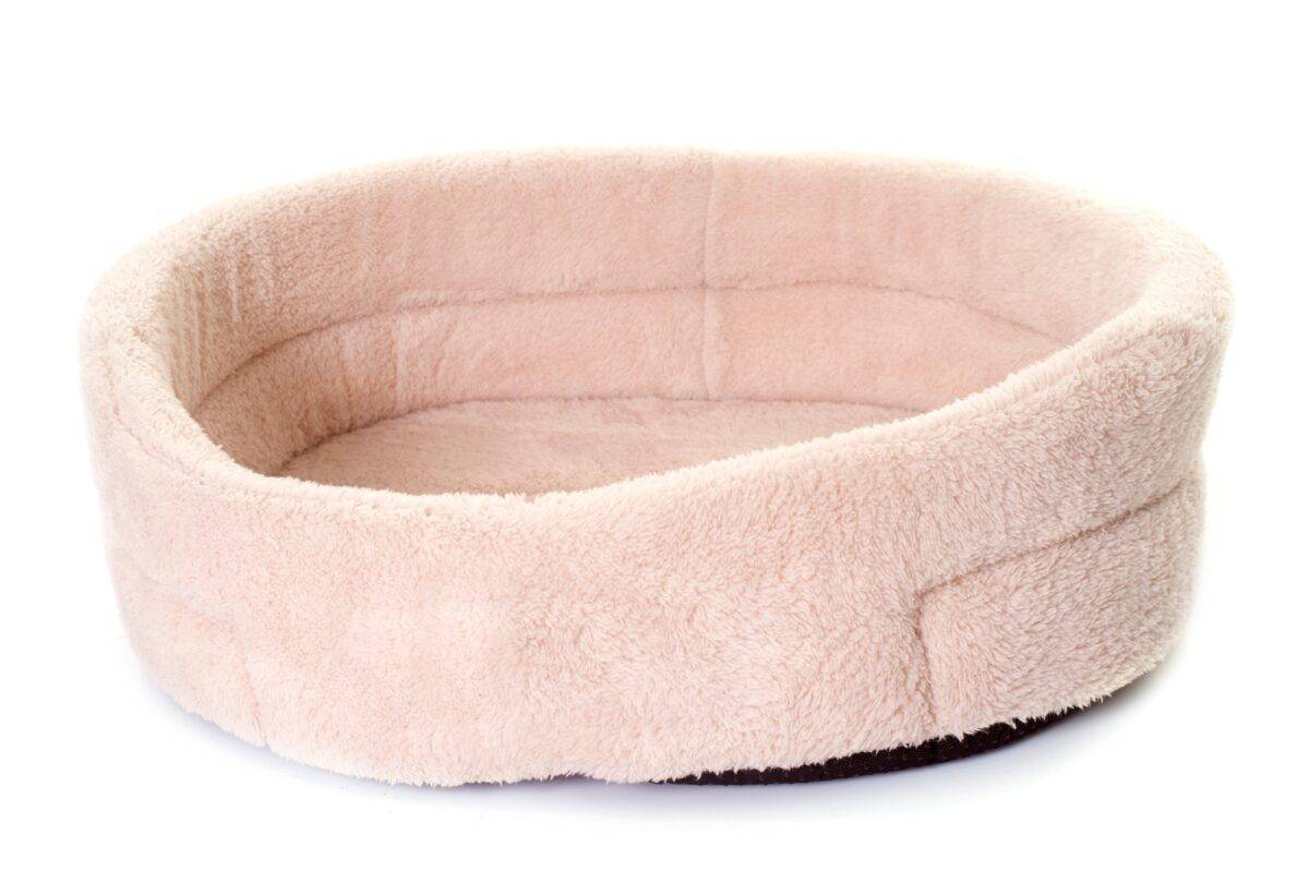 Coussin pour chien