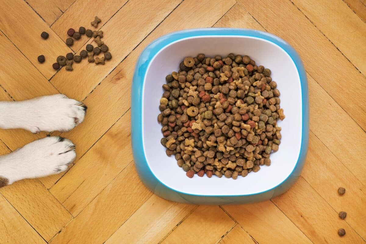 Croquettes chiens véto