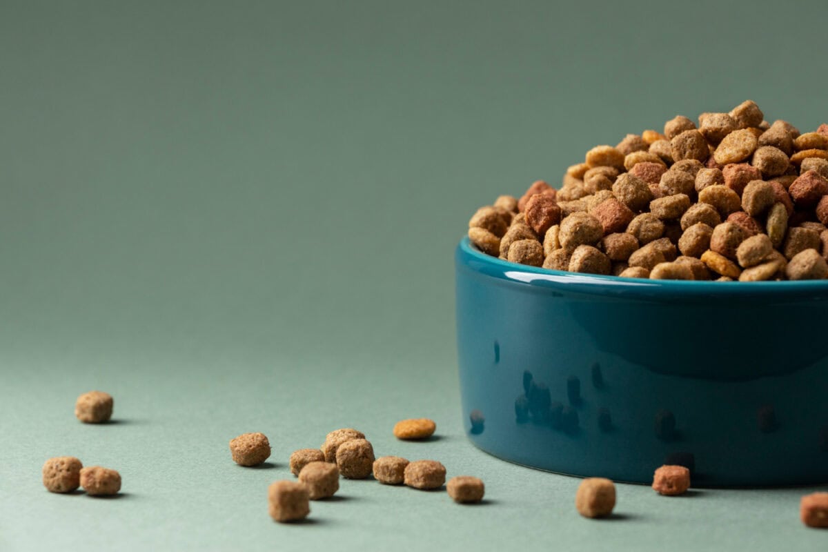 Croquettes pour chiens ou chats