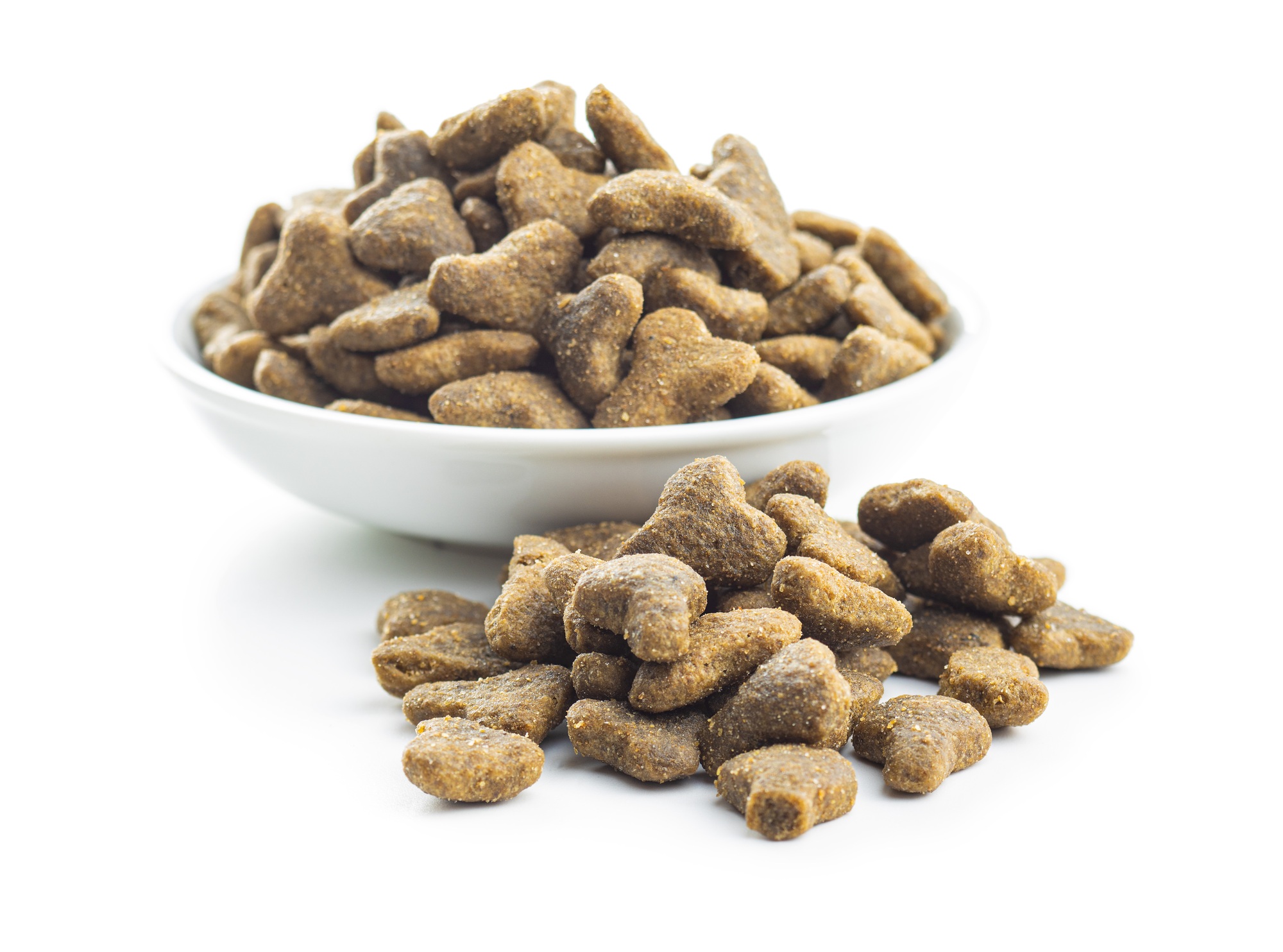 Croquettes pour animaux de compagnie. Croquettes pour chien ou chat.