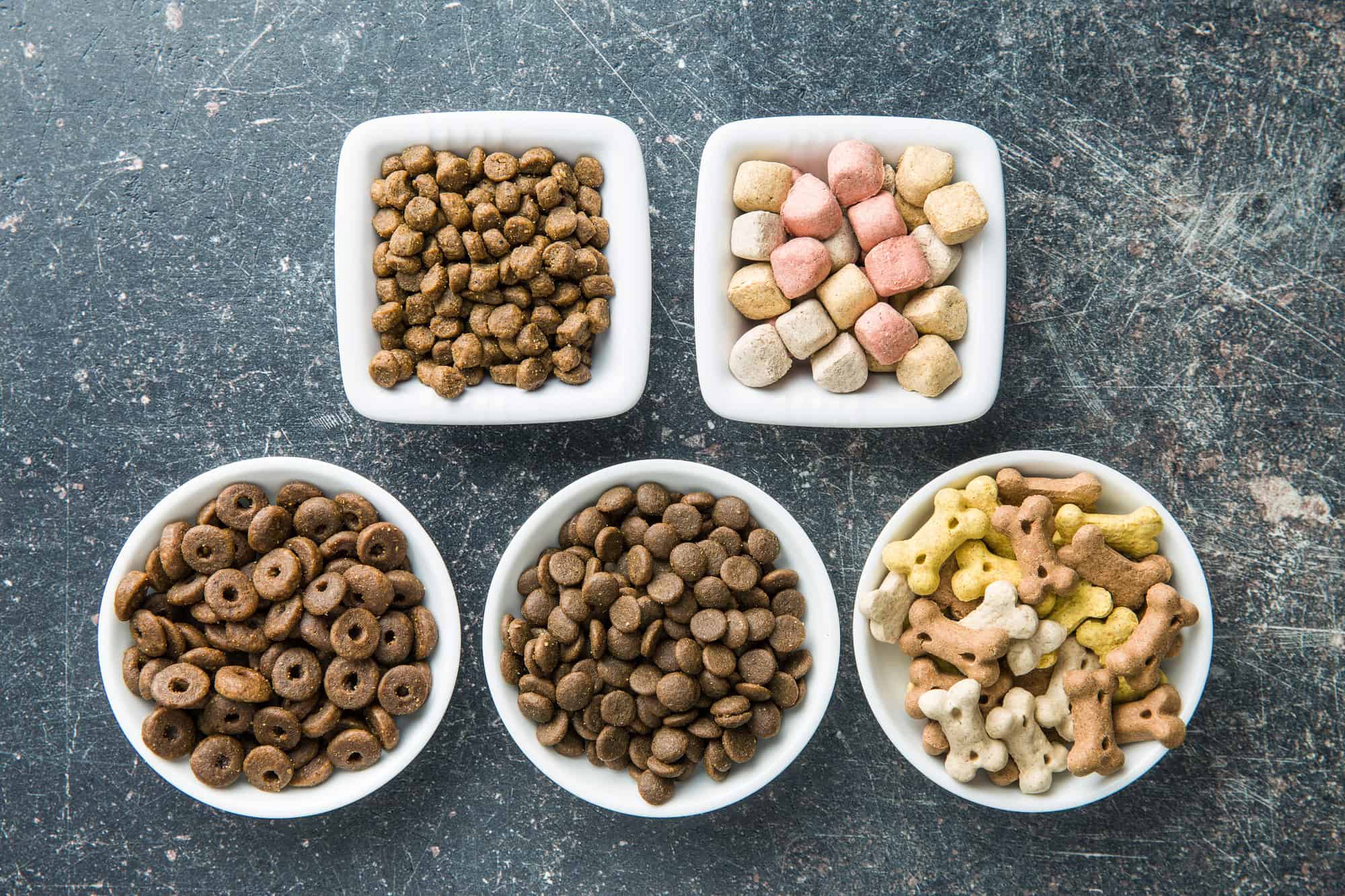 Différents aliments pour chiens.