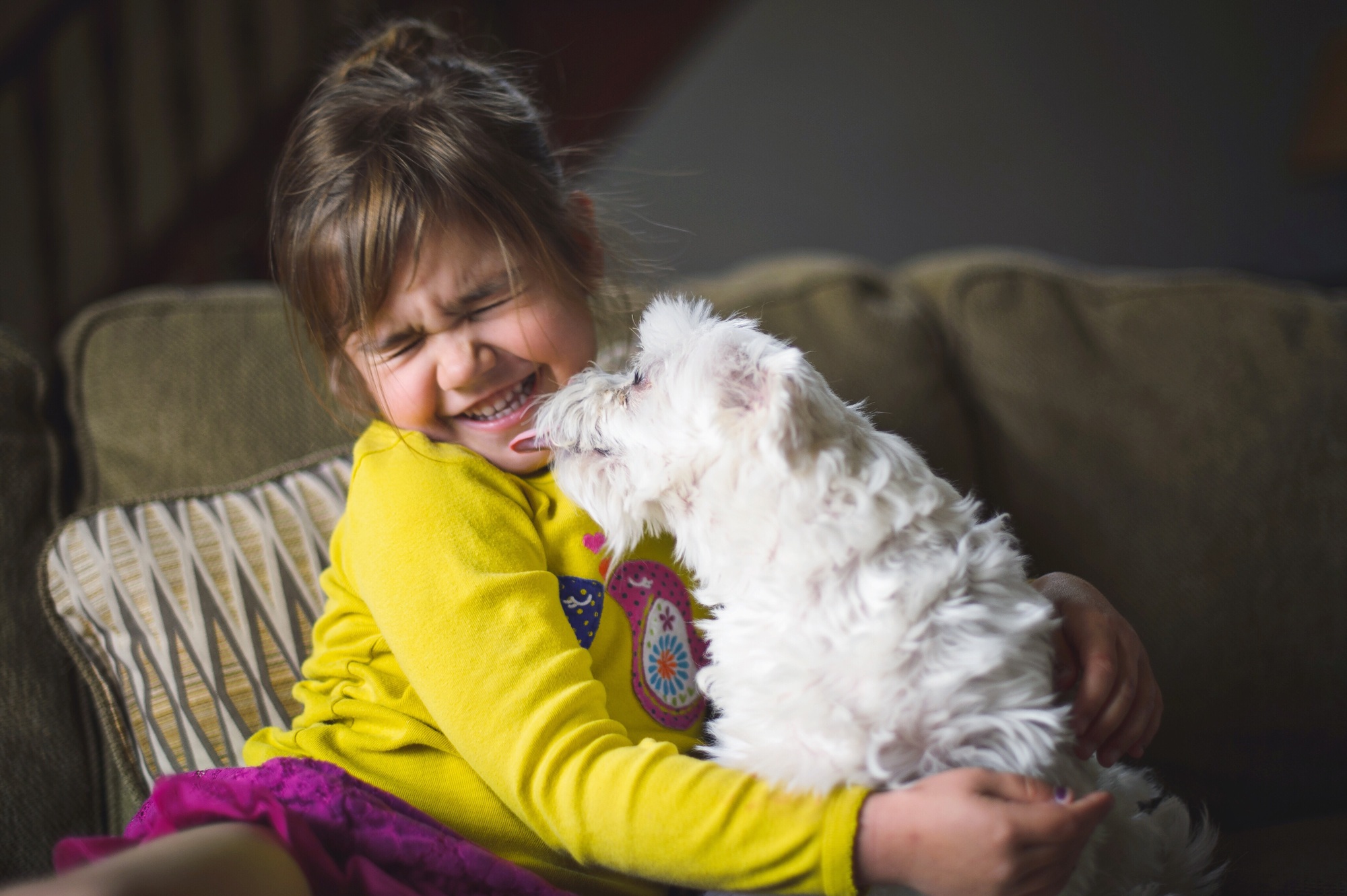 Enfant avec un chien qui lui lèche le visage