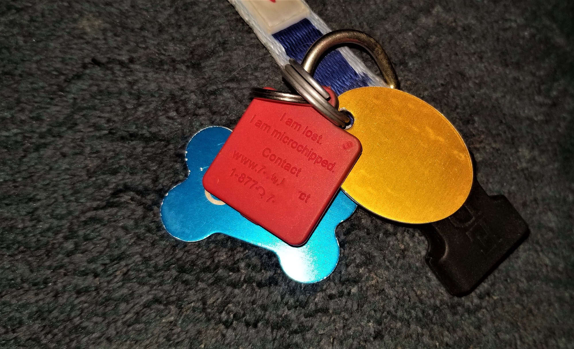 Étiquettes pour chiens ! Collier pour chien avec étiquette d'identification pour retrouver les animaux perdus !