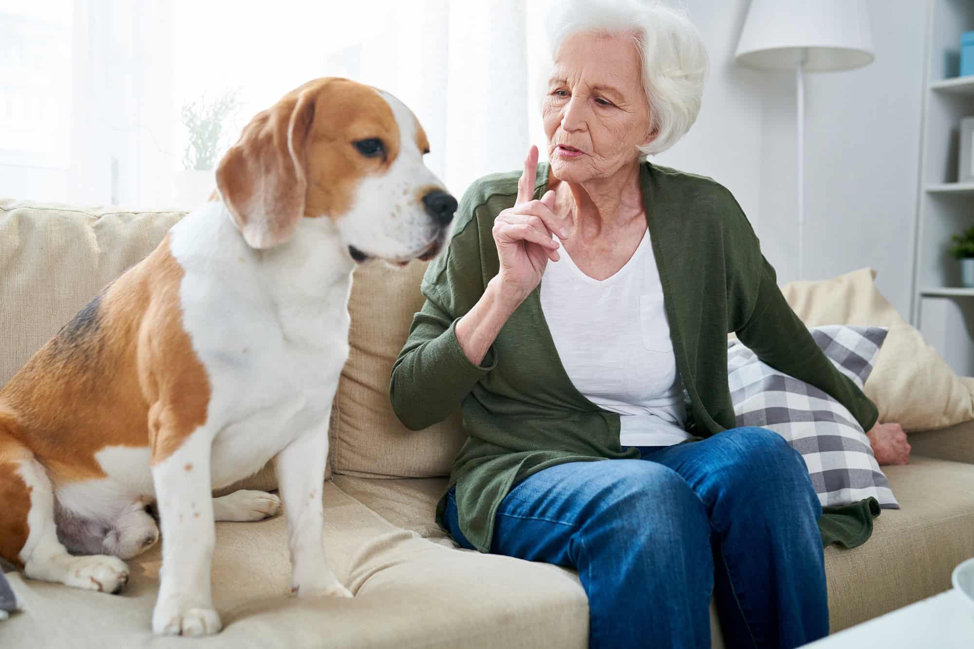 Femme âgée avec animal de compagnie