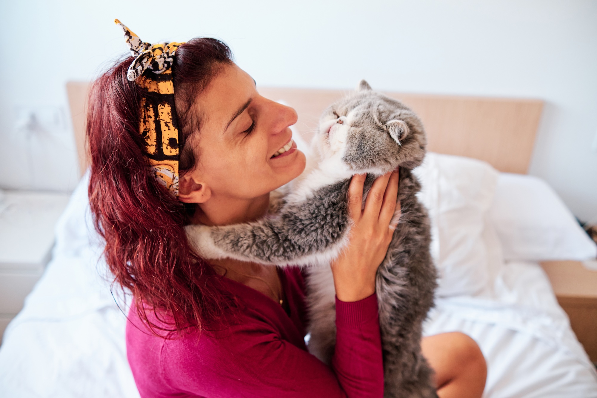 femme heureuse avec son chat exotique dans sa chambre - pet care concept