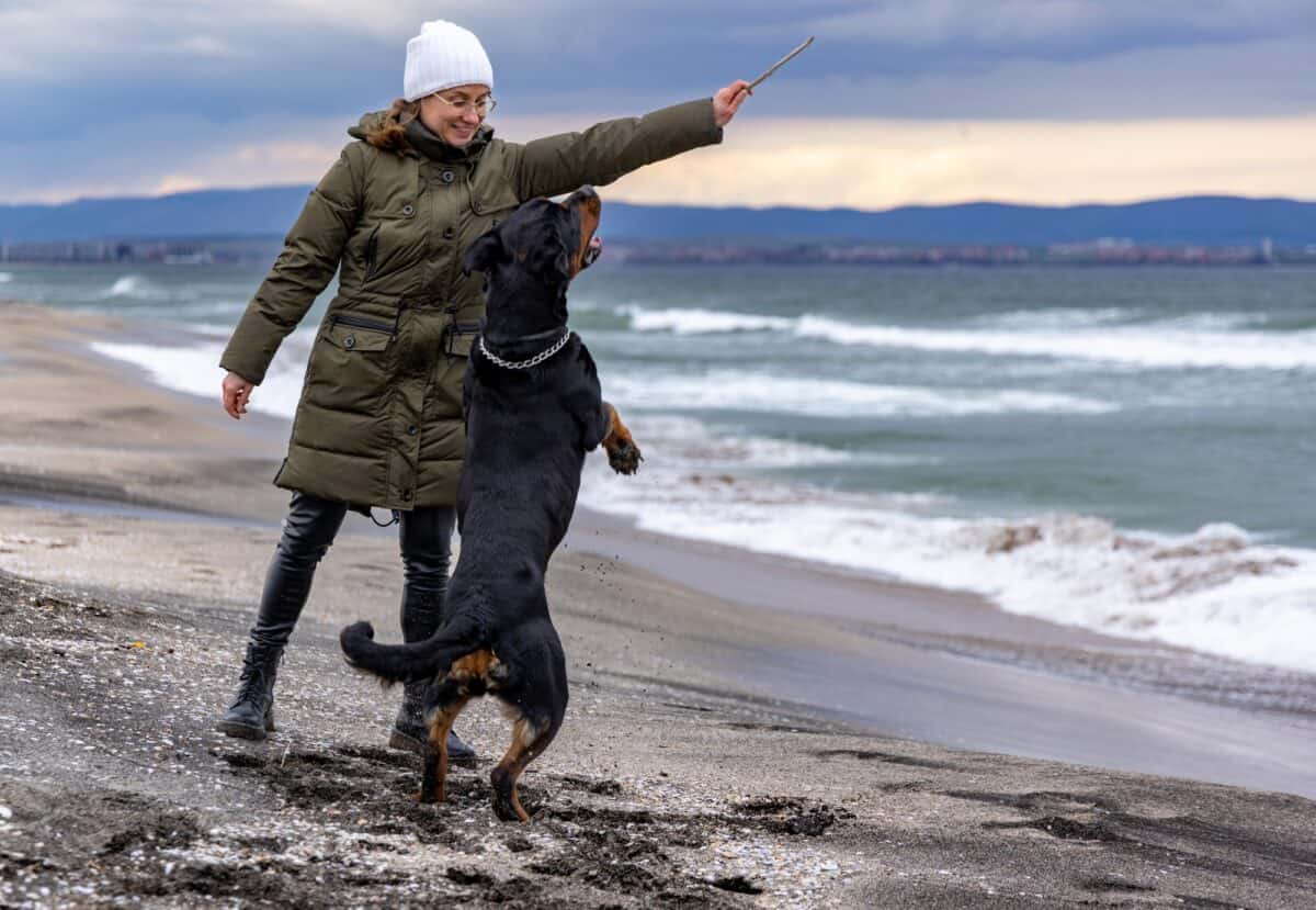 Woman playing with rottweiler dog in cold weather on the beach