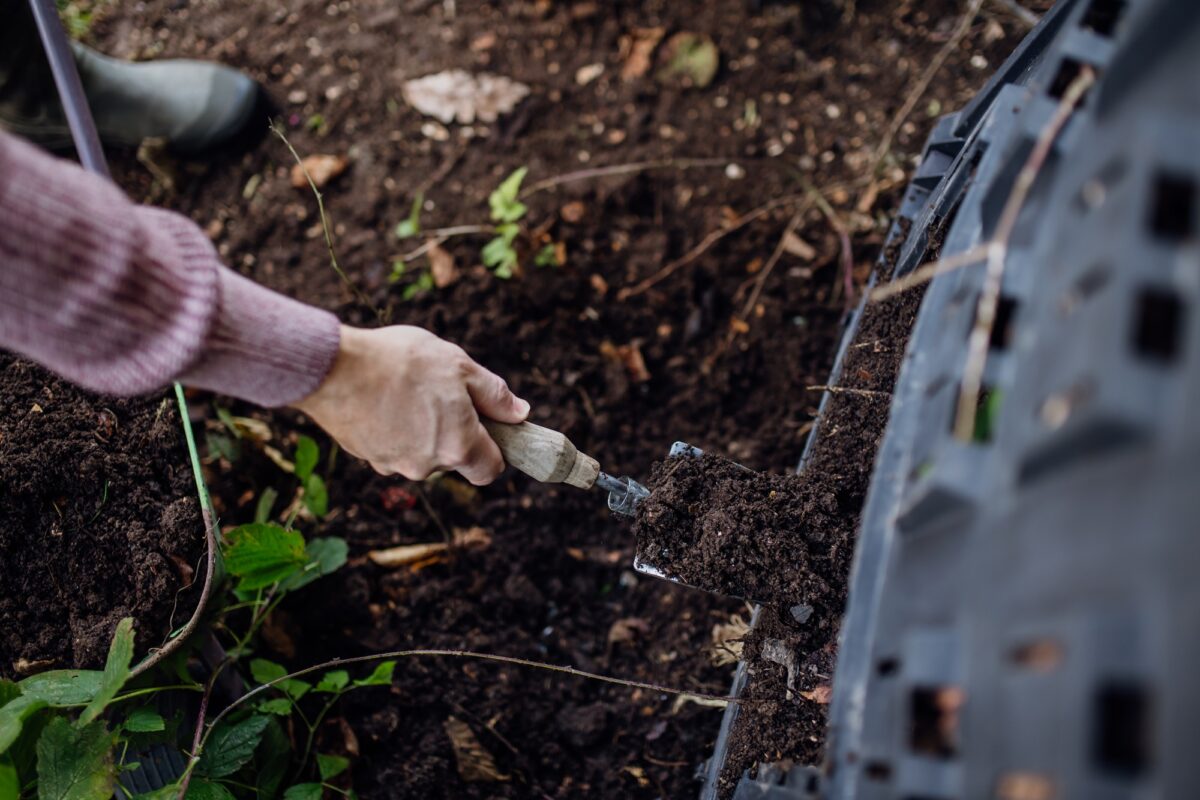 Fille retirant le compost d'un composteur dans le jardin. Concept de compostage et d'agriculture biologique durable