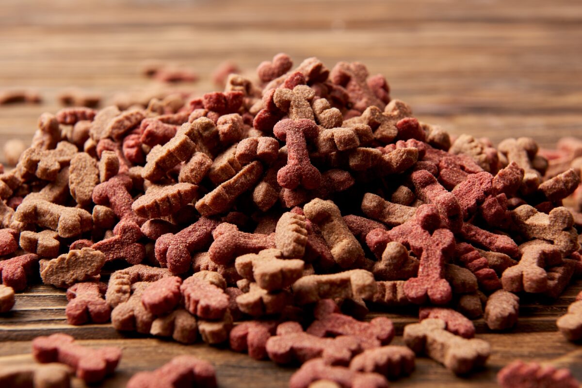 focus sélectif sur un tas de nourriture pour chien sur une table en bois