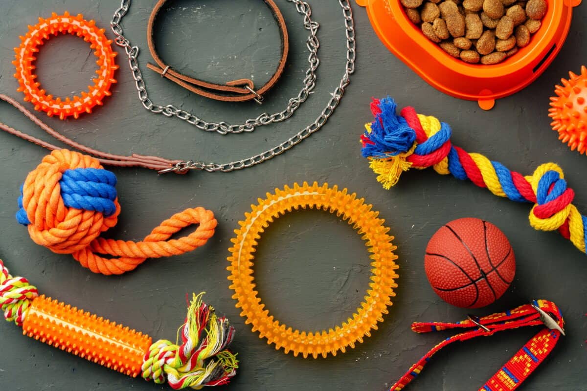 Jouets pour chien