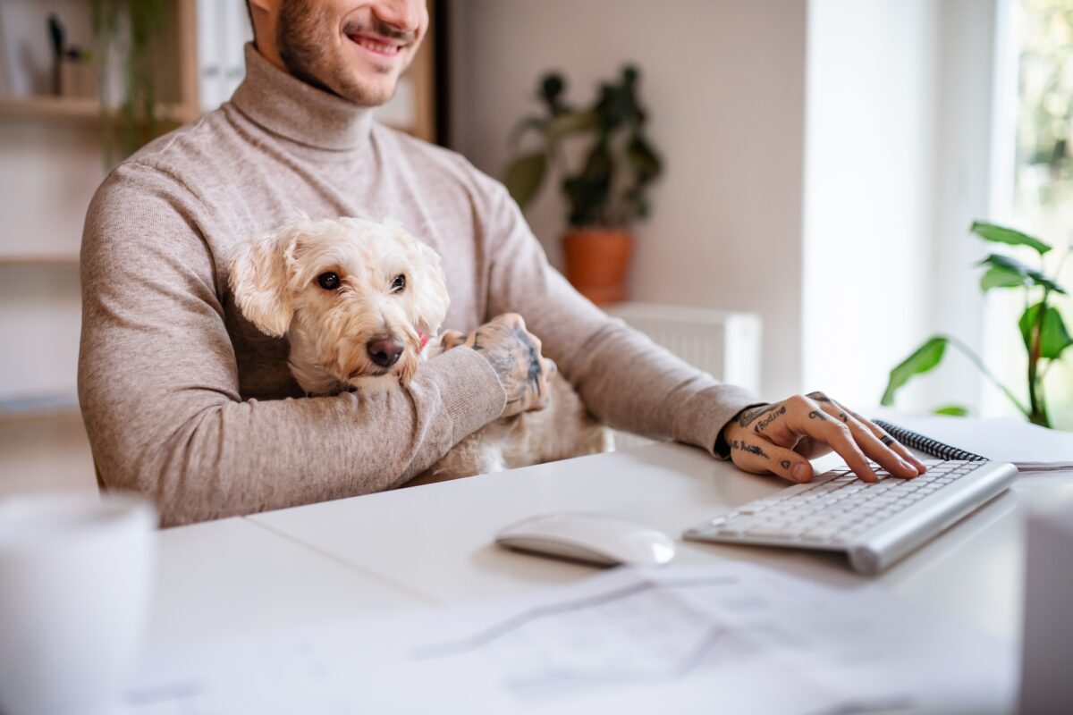 Chien au bureau