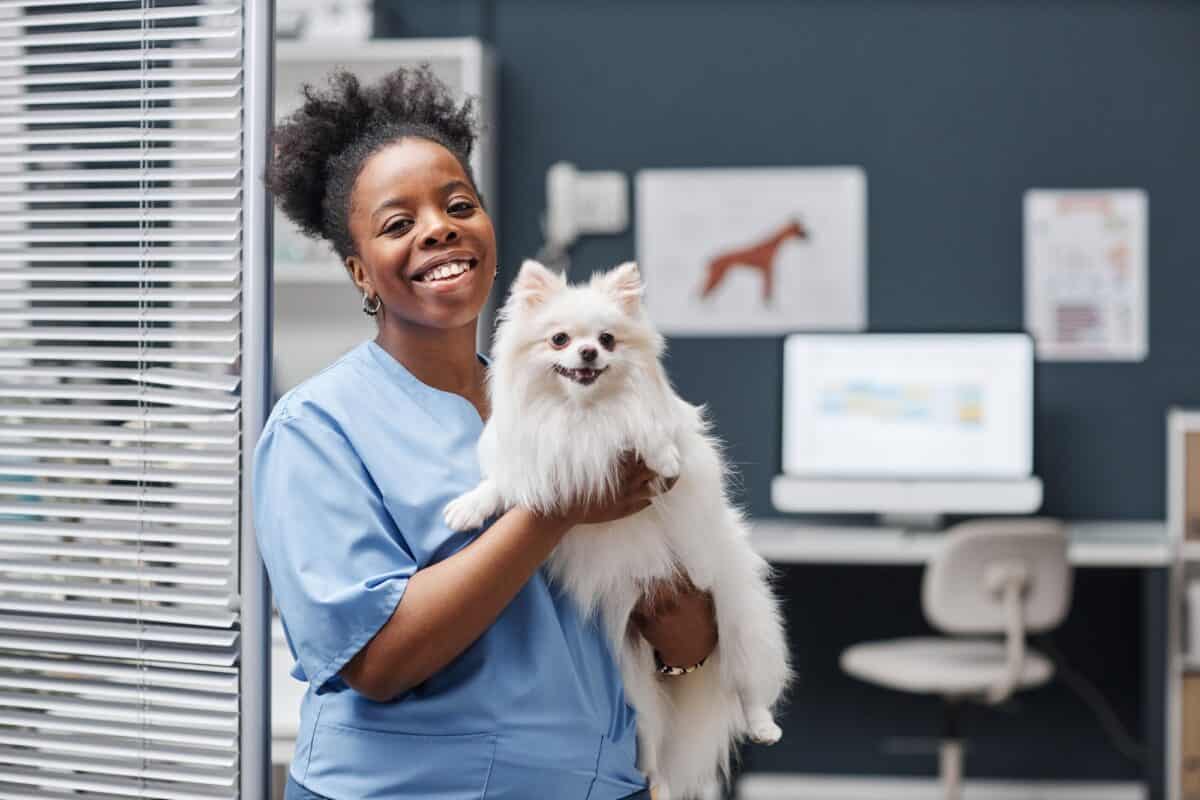 Young Curly Veterinarian in Blue Scrubs with Pet