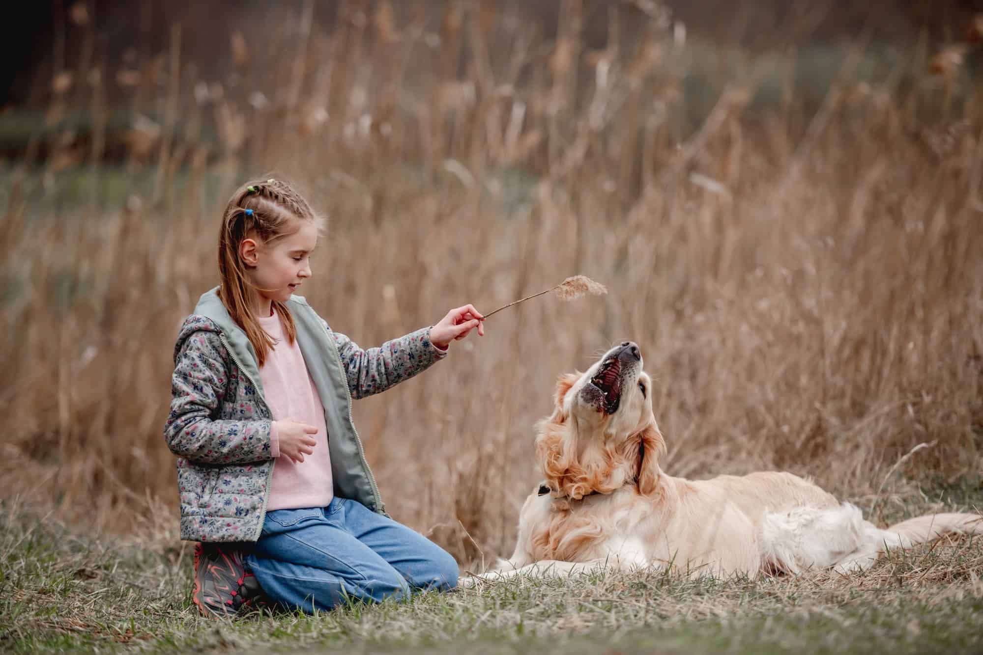 Petite fille avec un chien golden retriever à l'extérieur