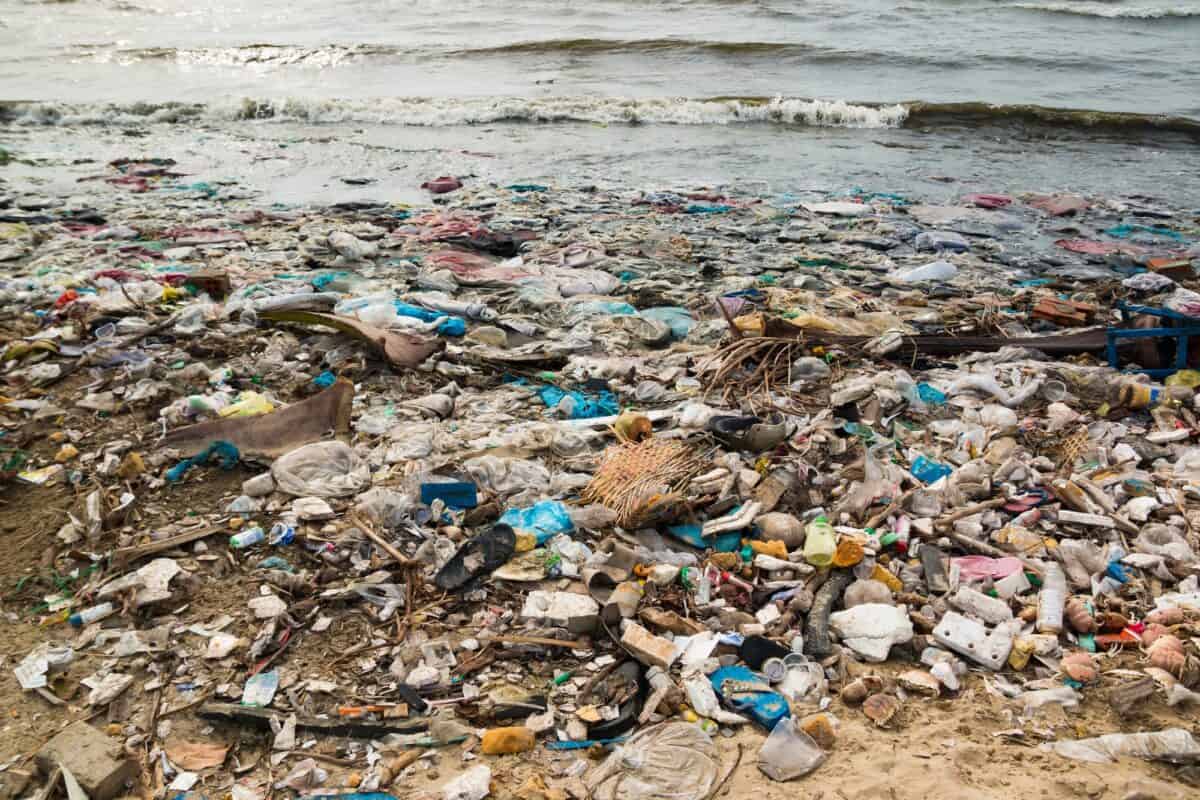 Pollution des océans
