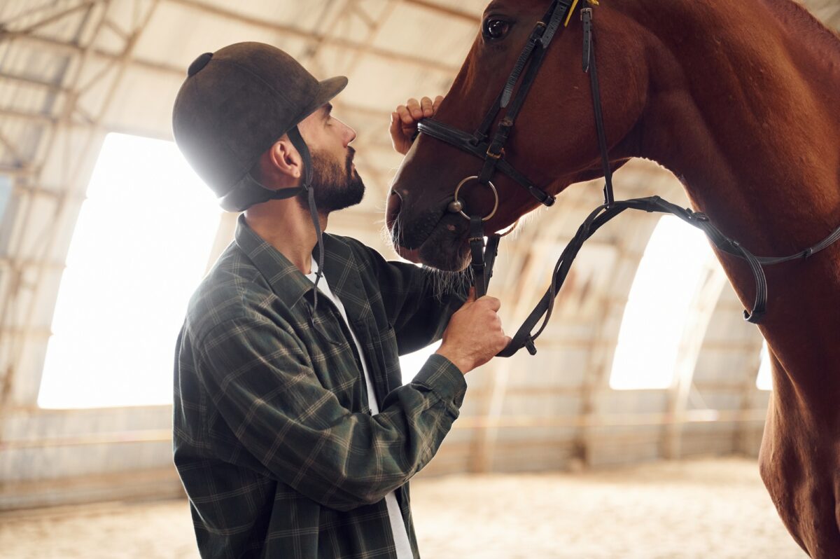 Taking care of animal. Young man with a horse is in the hangar