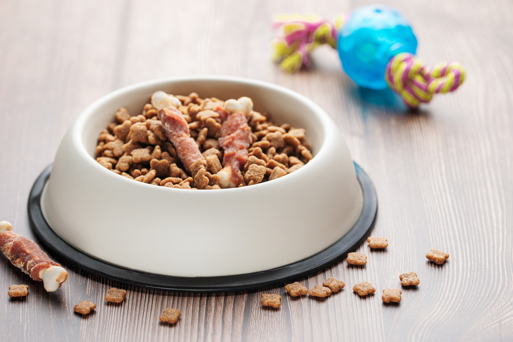 Nourriture pour chien et jouet