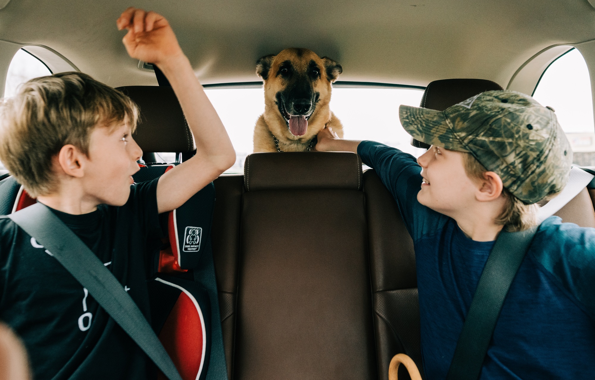 Un chien heureux de faire un tour en voiture