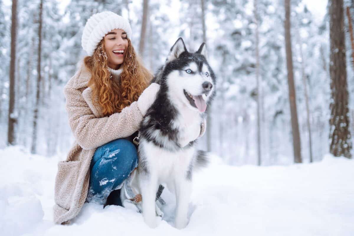 Un chien husky se promène avec son maître.
