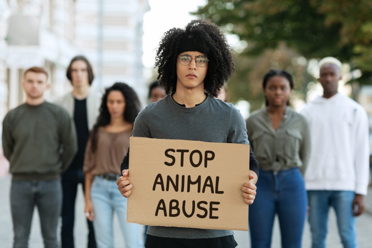 Stop à la maltraitance des animaux