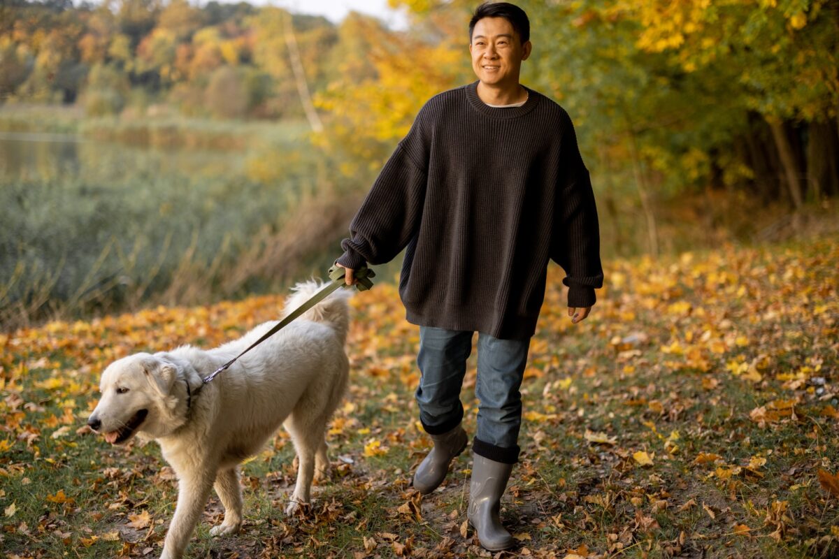 Un homme se promène avec son chien sur la côte de la rivière à un matin d'automne