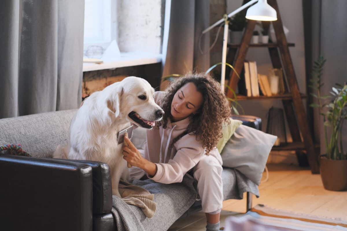 Une femme s'occupe de son animal de compagnie