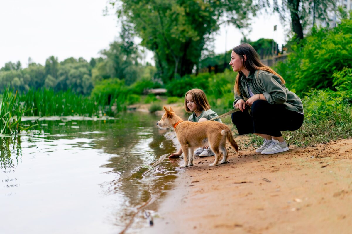 une mère, sa fille et son chien se promènent au bord de la rivière en s'amusant et en passant activement le temps
