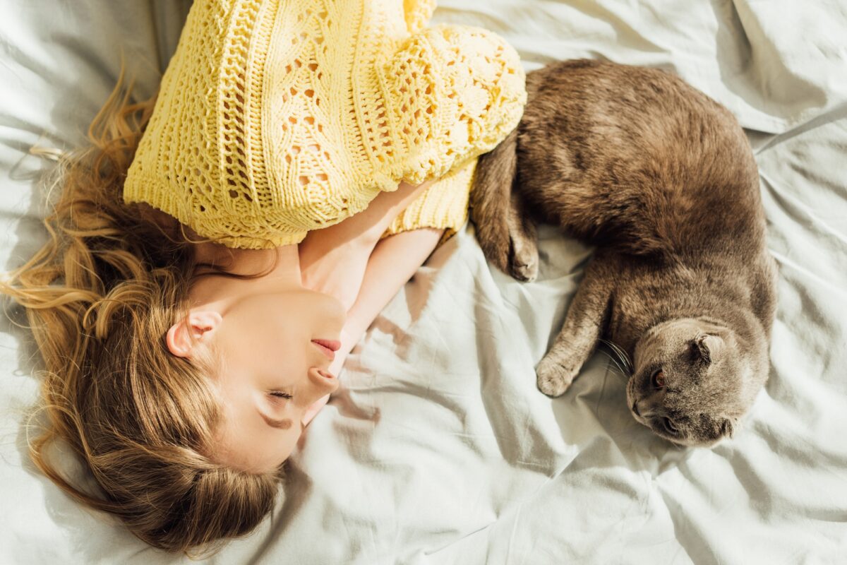 Chat d'intérieur