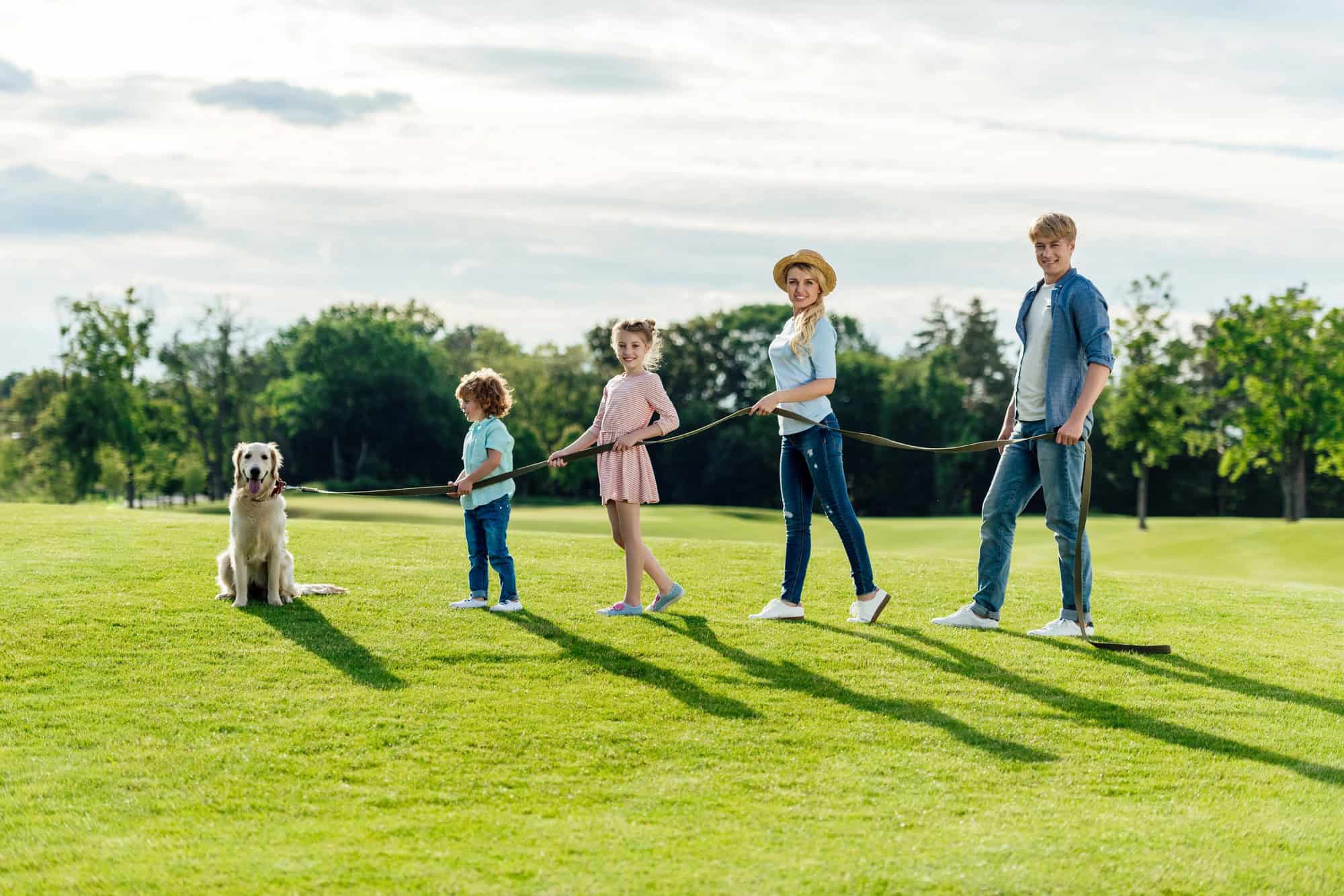 vue latérale d'une jeune famille heureuse avec son animal de compagnie marchant dans une prairie verte dans un parc