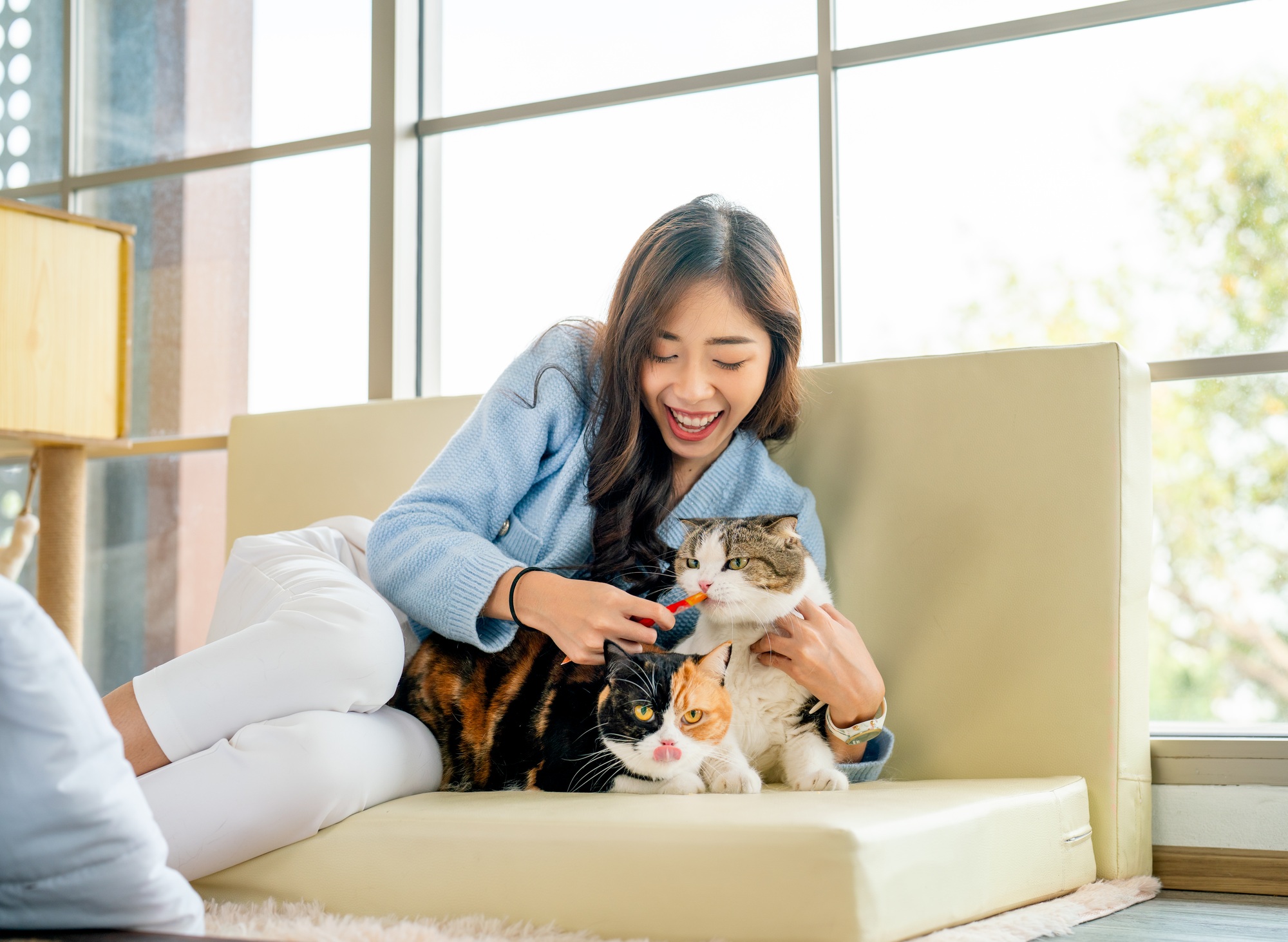 Vue latérale d'une jolie femme asiatique donnant de la nourriture à son chat dans un emballage plastique et restant avec l'autre chat.